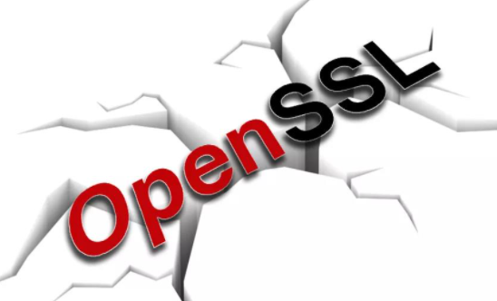 OpenSSL�����徲�������޸���Ʒ�е�2���徲���.png