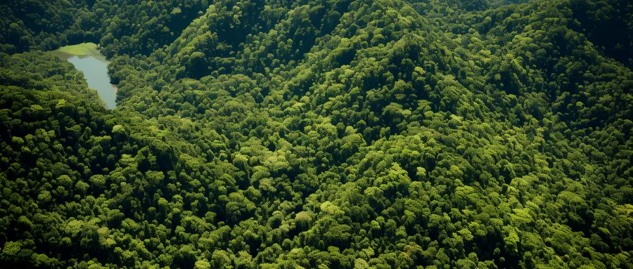 ҫ������-�Ƽ����ܳ���,�����ָ���Ȥ��