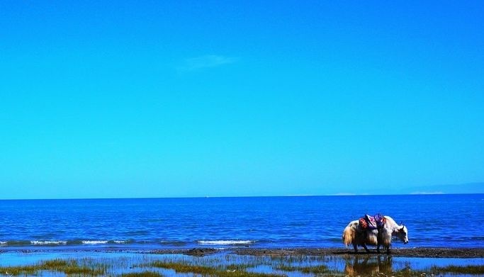 ҫ������-�Ƽ����ܳ���,�����ָ���Ȥ��