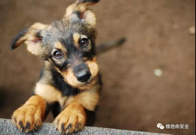 ҫ������-�Ƽ����ܳ���,�����ָ���Ȥ��