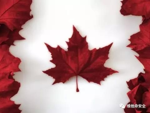 ҫ������-�Ƽ����ܳ���,�����ָ���Ȥ��