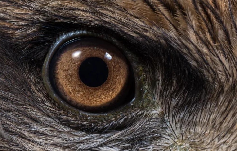 ҫ������-�Ƽ����ܳ���,�����ָ���Ȥ��